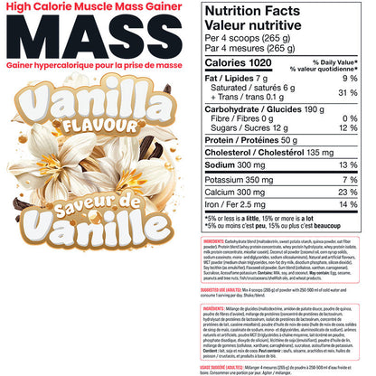 Basic Mass Gainer
